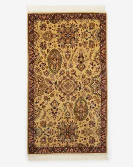 Bhagicha Hand Knotted Cotton Wool Rug